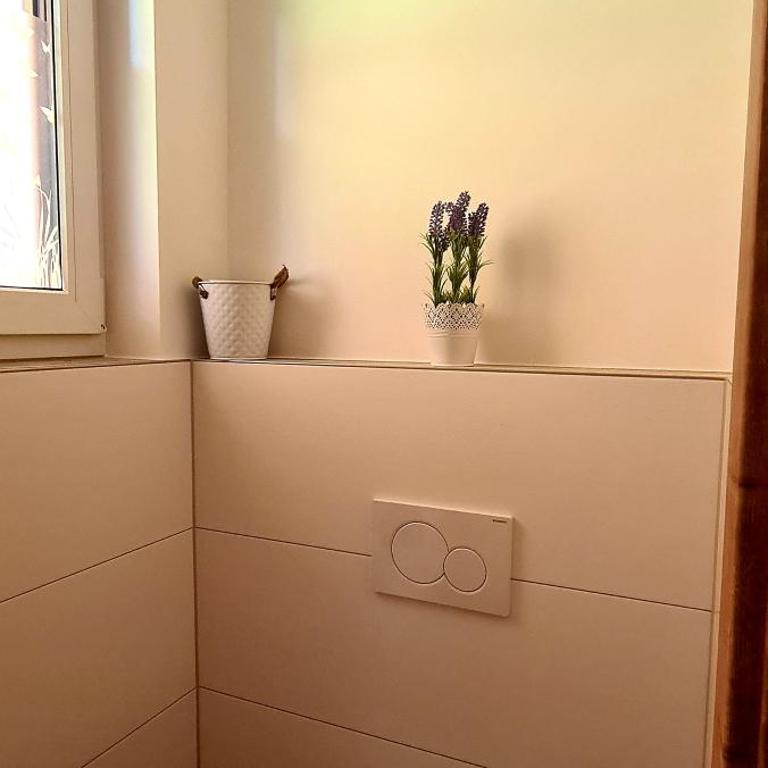 Ferienwohnungen Bergpanorama - Apartment mit 1 Schlafzimmer - 3