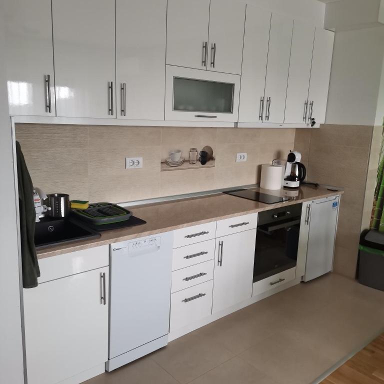 APARTMANI CEPERKOVIC - One-Bedroom Apartment - 12