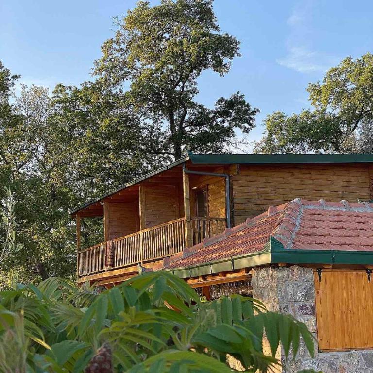 Ranc Mujica - One-Bedroom Apartment - 54