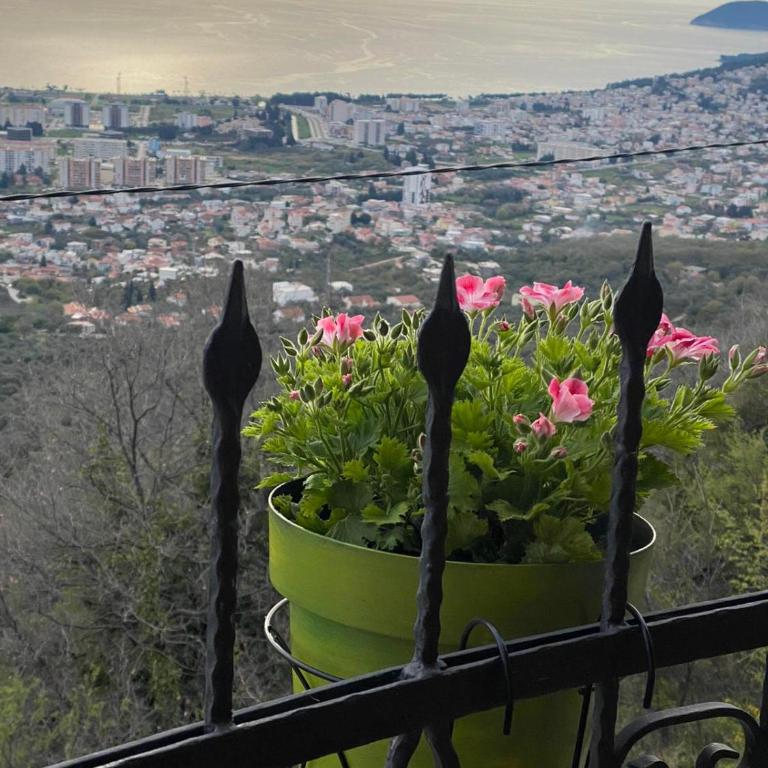 Ranc Mujica - One-Bedroom Apartment - 61