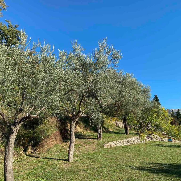 Ranc Mujica - One-Bedroom Apartment - 66