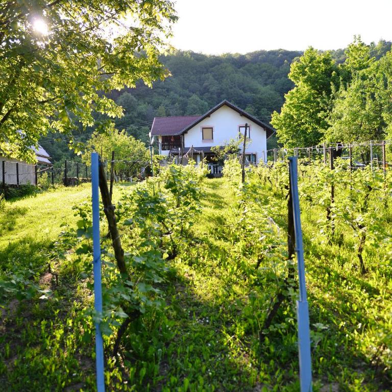 Nia - Vikendica - 31