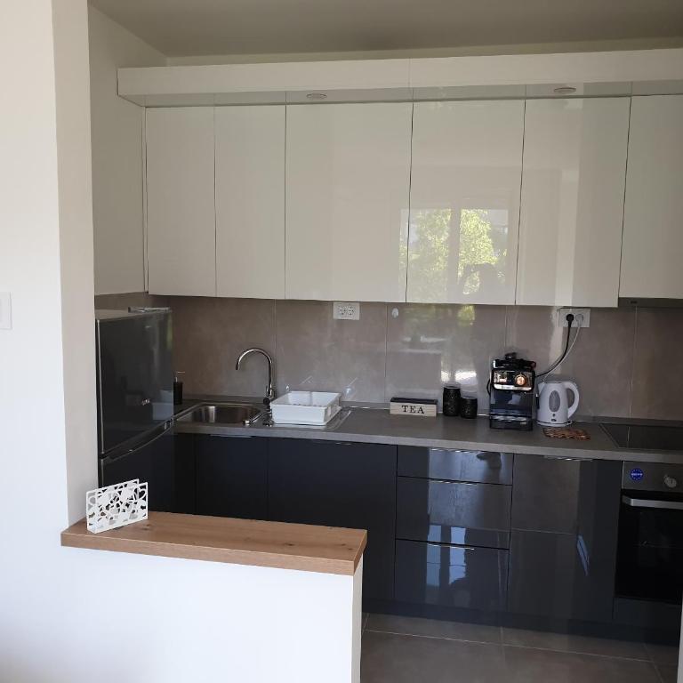 Apartman N&N, 53 kvm, blizu centra - One-Bedroom Apartment - 21
