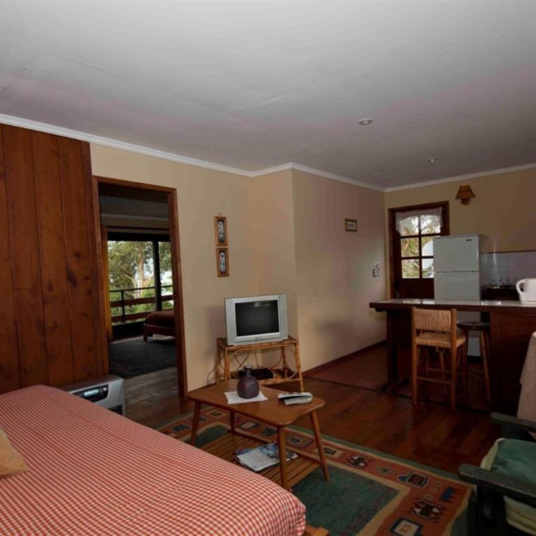 Las Juntas Ecolodge - One-Bedroom Apartment with Lake View - 1