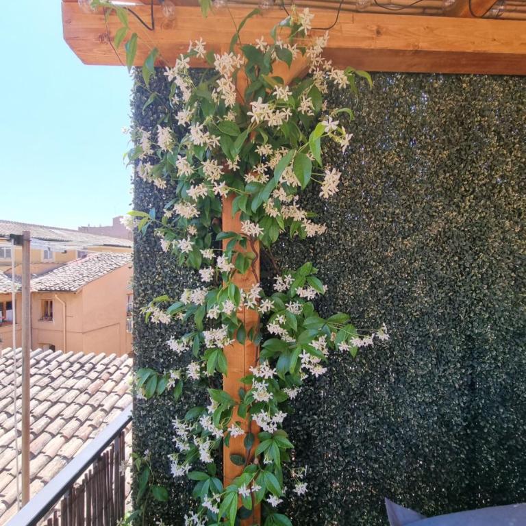 Paradise Penthouse Suite Amazing View - Appartamento con 1 Camera da Letto - 69