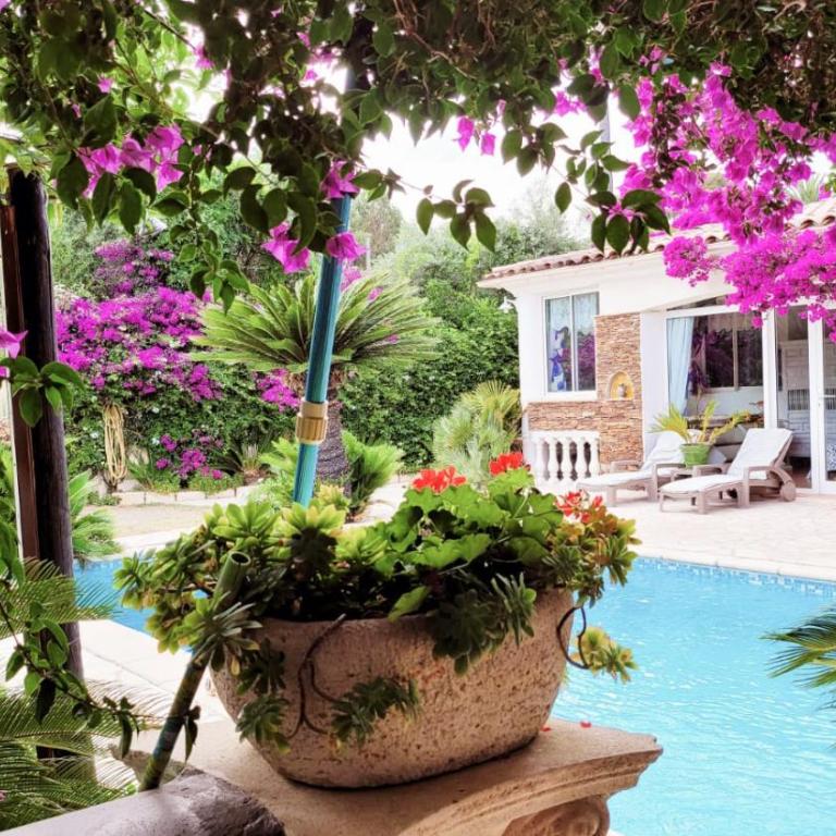 Villa Provençale â Sainte Maxime, Golf de Saint Tropez - Villa mit Meerblick - 77