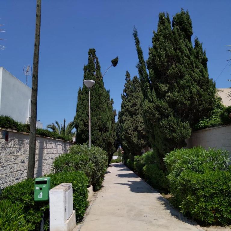 MARINA SUNBEACH LAS MIMOSAS - Two-Bedroom Apartment - 24
