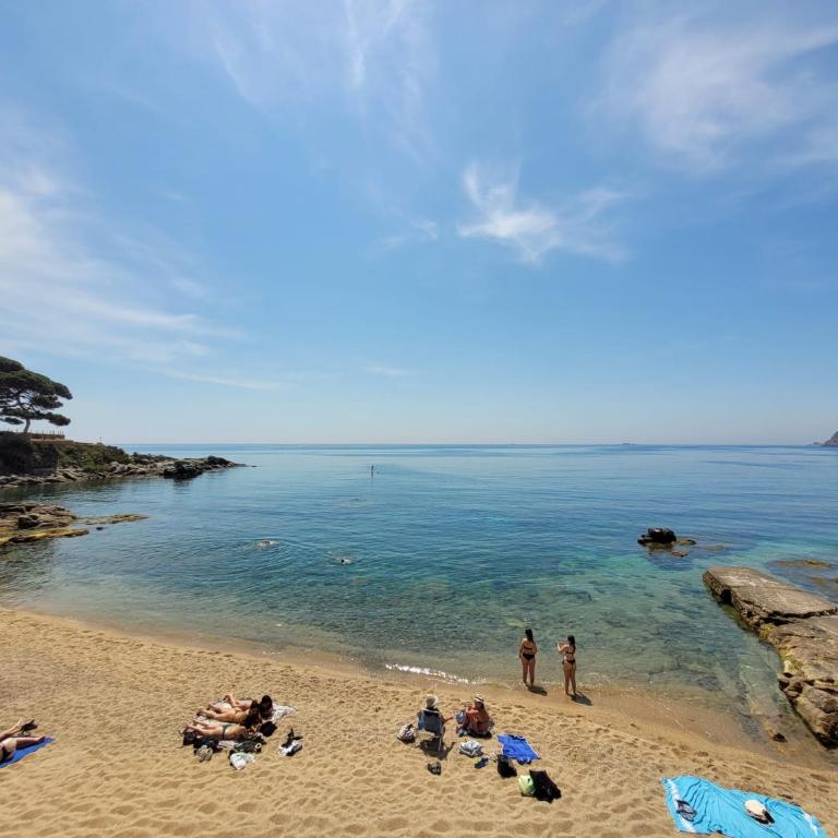 Playa Canadell MAR P primera línea de mar con terraza - Apartamento de 1 dormitorio - 1