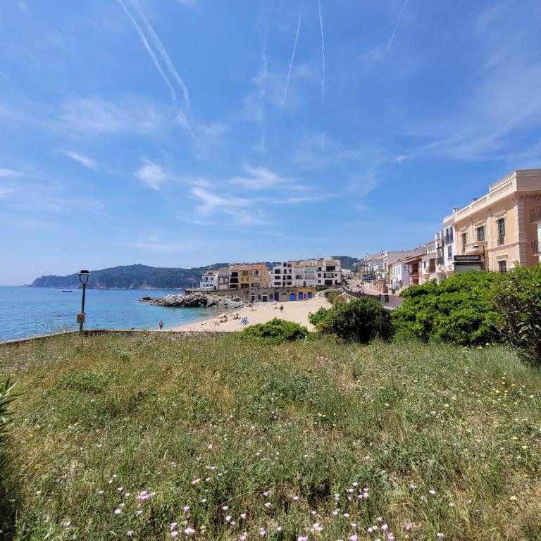 Playa Canadell MAR P primera línea de mar con terraza - Apartamento de 1 dormitorio - 20