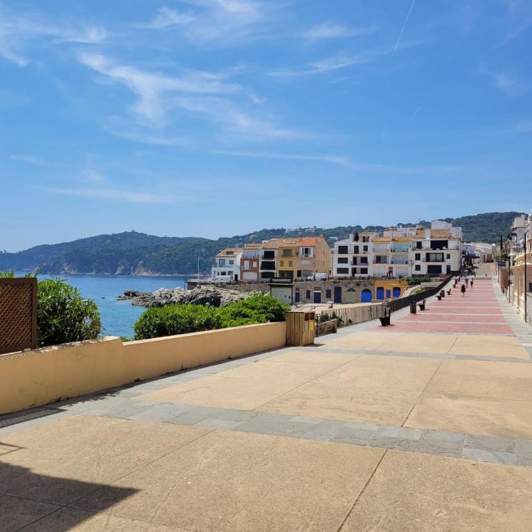 Playa Canadell MAR P primera línea de mar con terraza - Apartamento de 1 dormitorio - 26