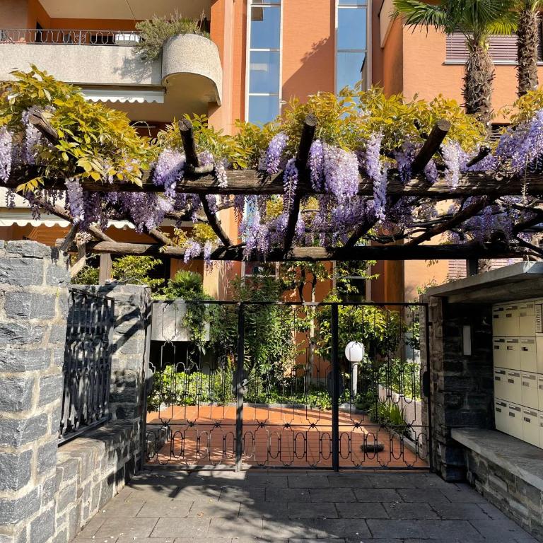 Ascona: ORTO DEGLI ANGIOLI - Appartamento con 1 Camera da Letto - 24
