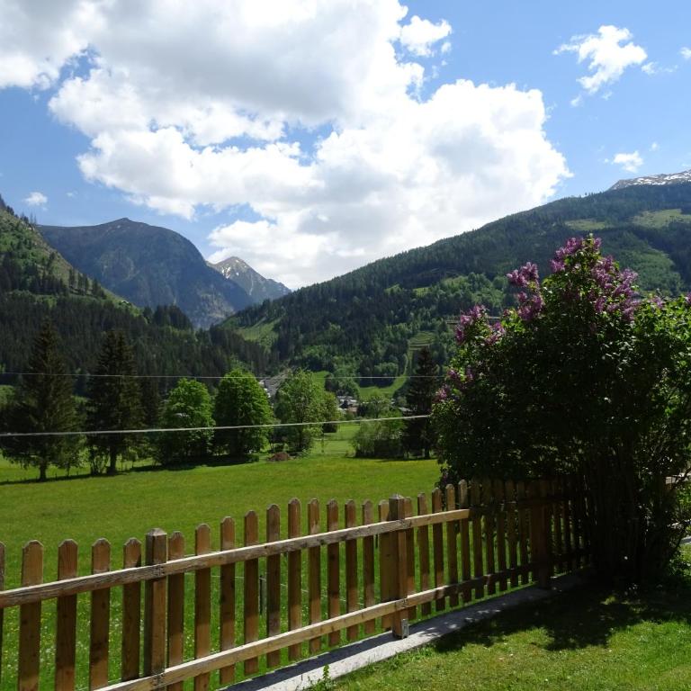 Appartement Klausner - Appartamento con 3 Camere da Letto - 17