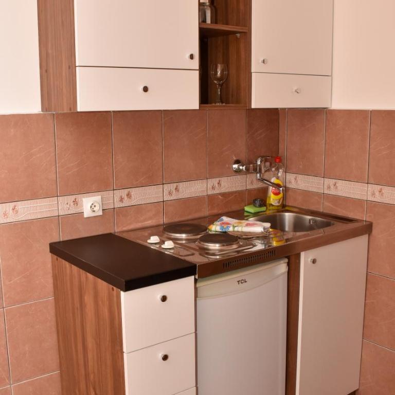 Apartments Simun - Studio (2 Adults) - 3