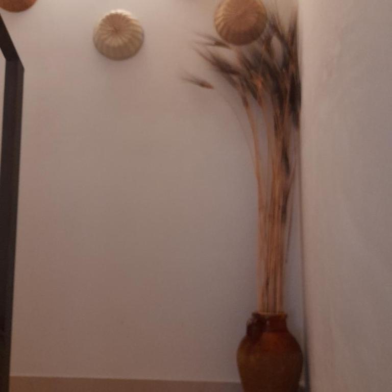 Via Roma 224 - Casa Vacanze - 6
