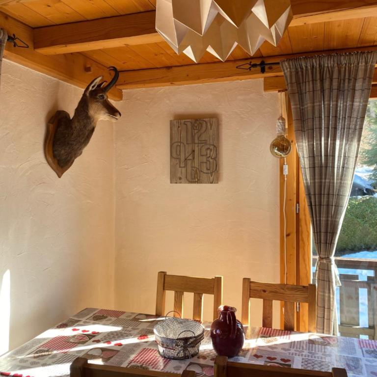 Appartement cosy au pied du MtBlanc - Appartement 2 Chambres - 11