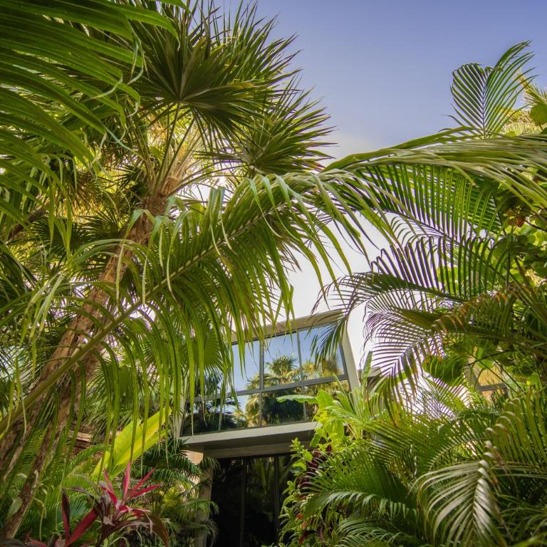 Casa Malca - Suite Junior con vistas al jardín - 13