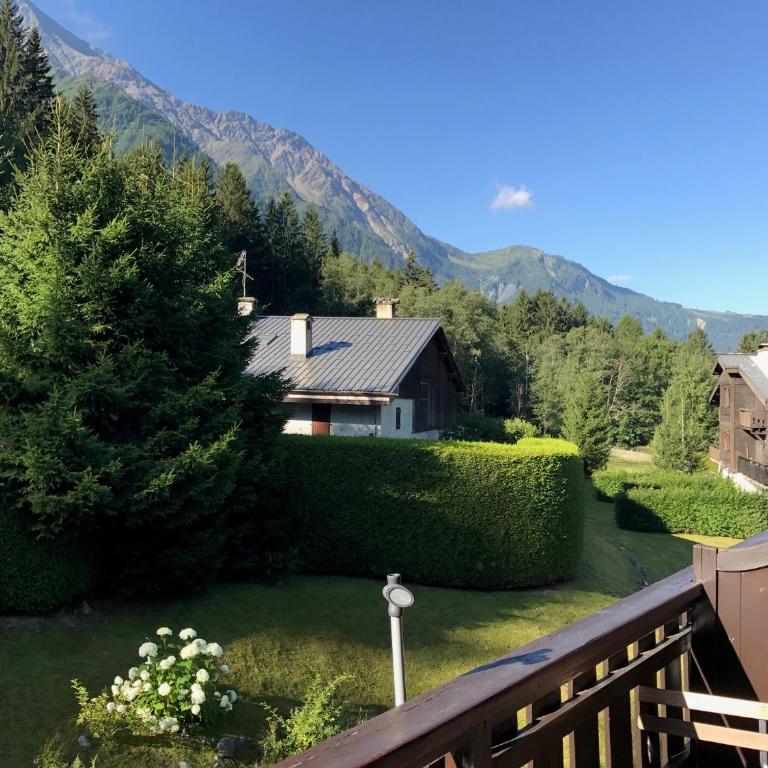 Appartement cosy au pied du MtBlanc - Appartement 2 Chambres - 33