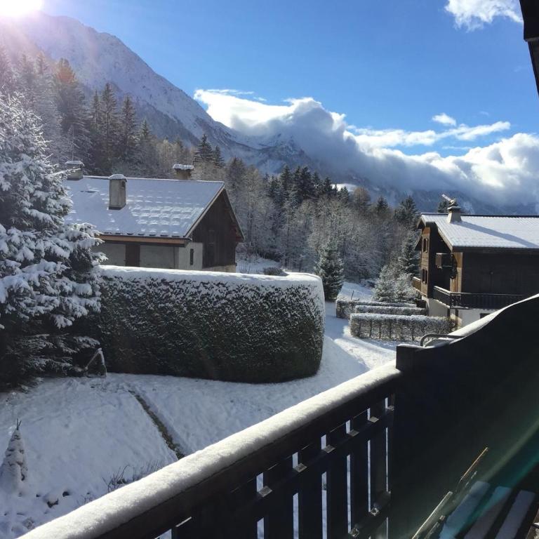 Appartement cosy au pied du MtBlanc - Appartement 2 Chambres - 31