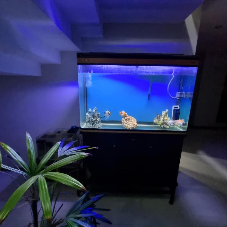 Tourist House - Habitación Doble Deluxe con balcón - 5