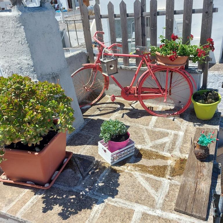 Casa Santa Caterina - Casa Vacanze - 6