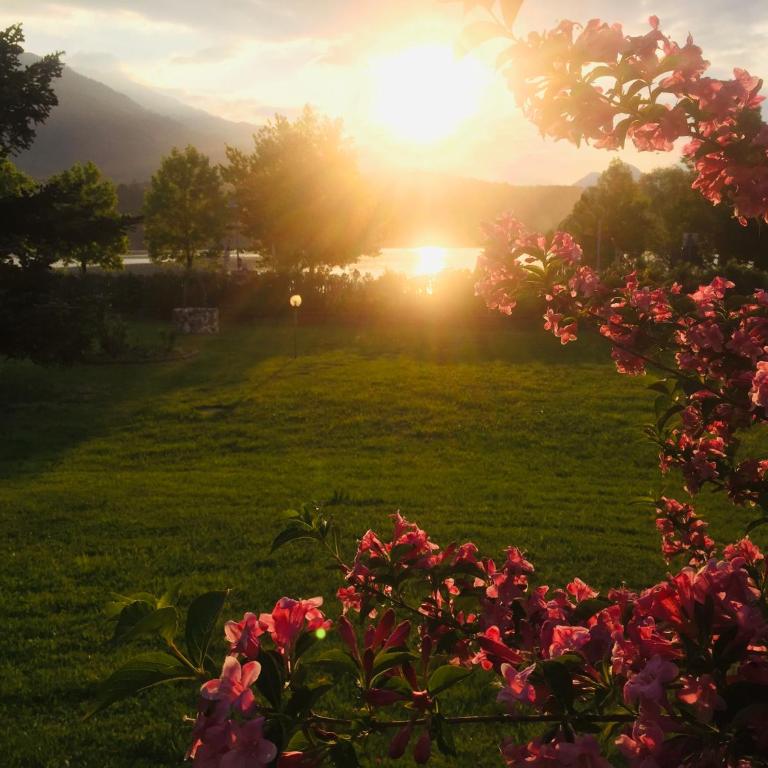 Paradiso sul lago - Casa - 8