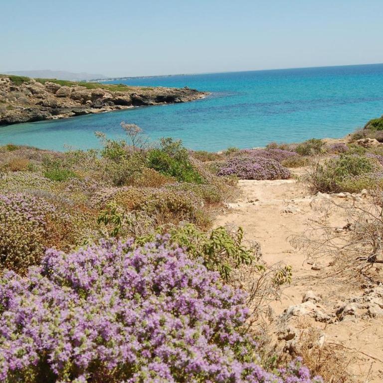 Cicirata Sea Beach - Sicilia Vacanza - Appartamento con 2 Camere da Letto - 50