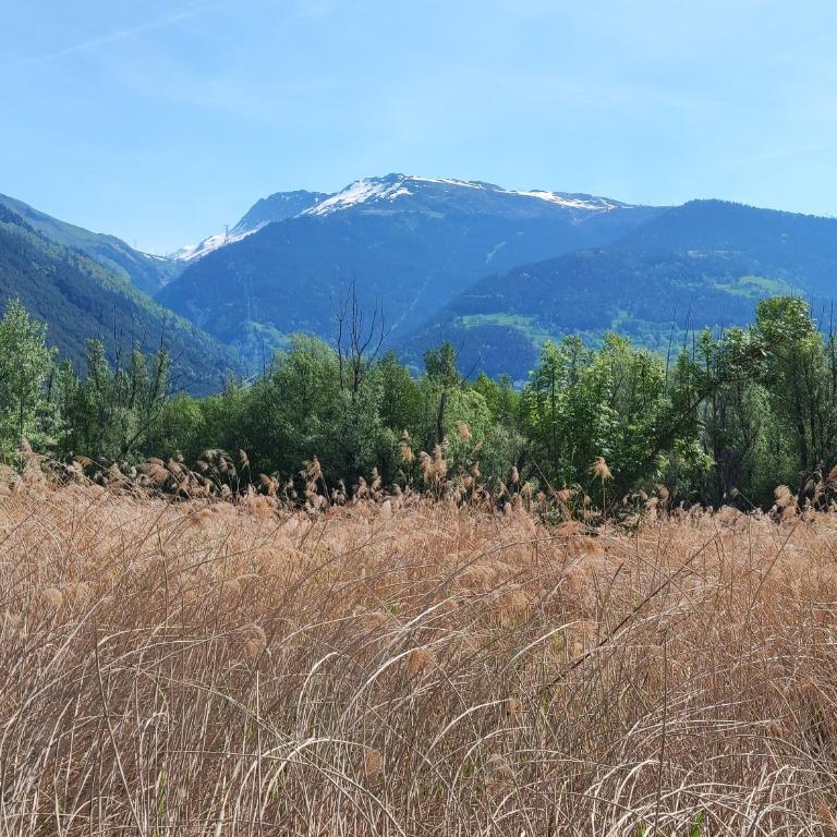 Le Cyprès en centre ville Bourg-Saint-Maurice - Appartamento - Piano Terra - 54