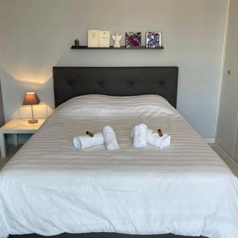 Deux pièces spacieux Place de Gaulle centre-ville d'Antibes avec extérieur - Appartement - 7