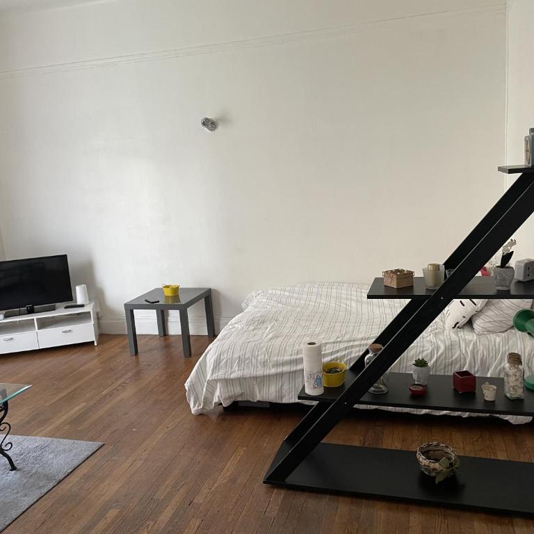Grand F1 au centre-ville de Vichy - Appartamento con 1 Camera da Letto - 1