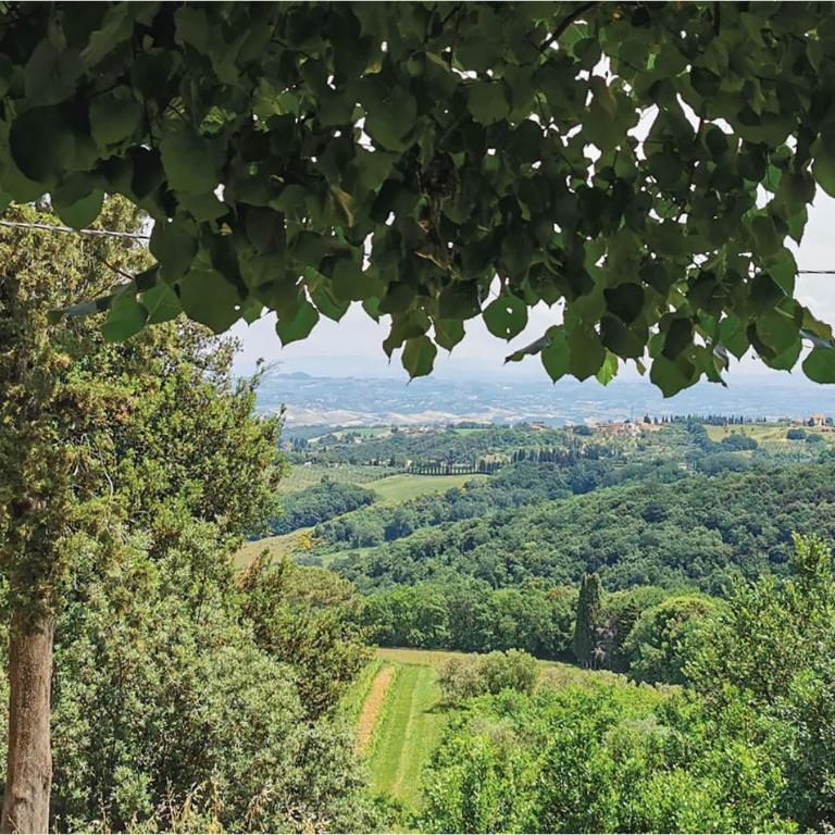 Bella Casa Con 6 Camere Da Letto A Montaione - Casa Vacanza con 6 Camere da Letto - 16