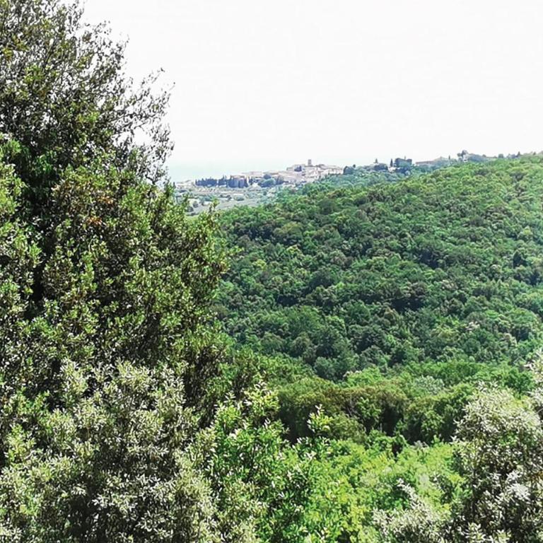 Bella Casa Con 6 Camere Da Letto A Montaione - Casa Vacanza con 6 Camere da Letto - 33