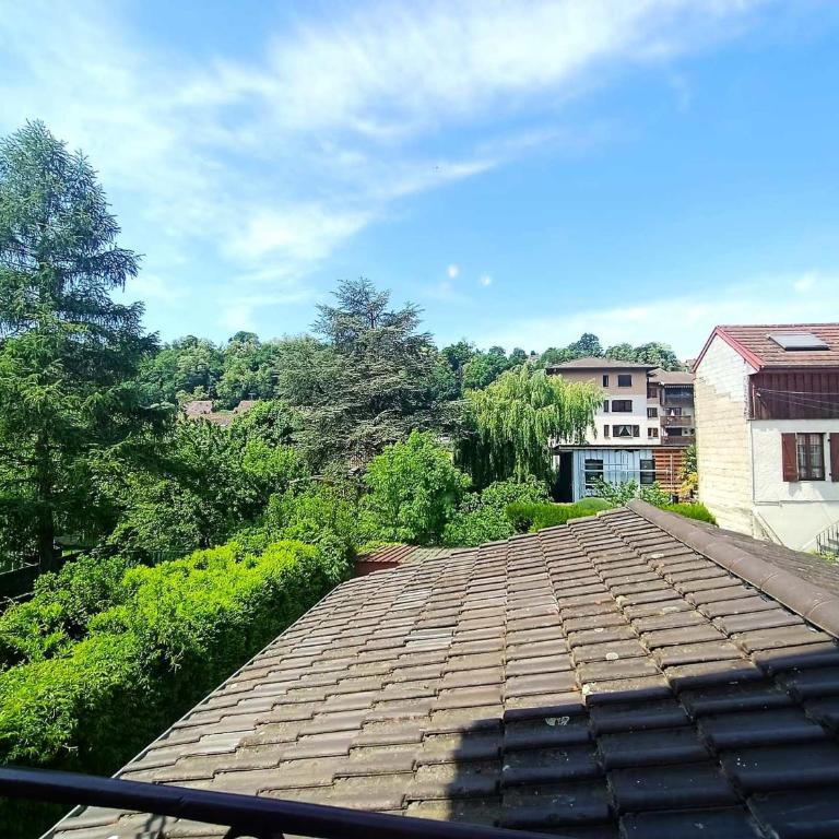 T3 Spacieux entre Ville & Lac, Wifi, Animaux Acceptés - FR-1-555-62 - Appartamento - 12
