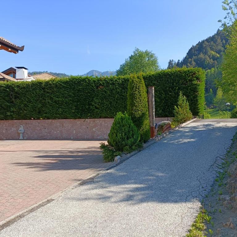 Fiemme Deluxe Apartment - Appartamento con Vista Montagna - 18