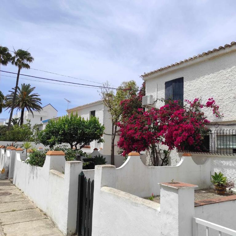 Casa La Gaviota en el centro de Zahara - Casa de 3 dormitorios - 1