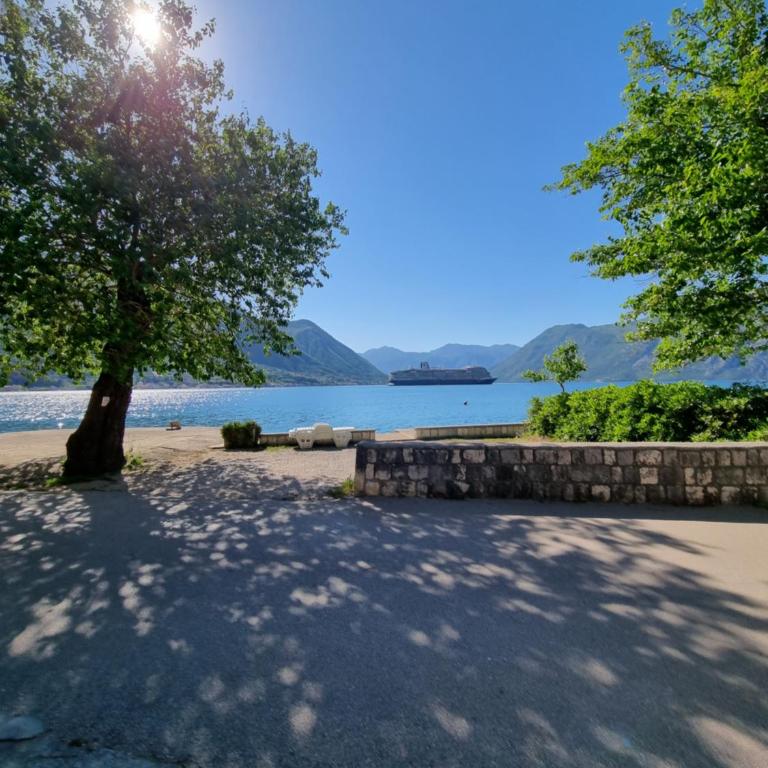 Apartment on the shore of the bay of Kotor with free Wi-Fi - One-Bedroom Apartment - 14