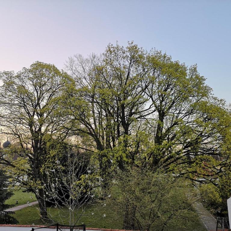 N13 Living - Apartment mit 1 Schlafzimmer und Badewanne - 21