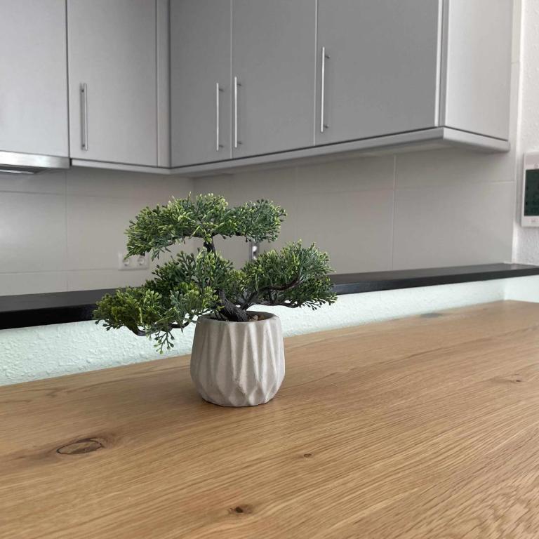 Solàrium con terraza a 5 minutos de la playa - Apartamento con vistas a la piscina - 9