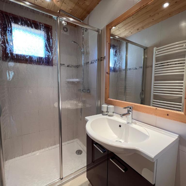 GROTTE AUX FEES A, appartement skis aux pieds - Apartamento de 2 dormitorios - 8