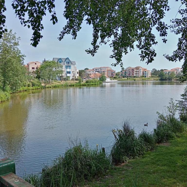 Charmant T2 au coeur du golf de port Bourgenay - Appartement - Rez-de-Chaussée - 50