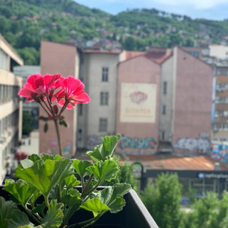 Youth Theatre Apartment - Apartman sa 1 Spavaćom Sobom - 5