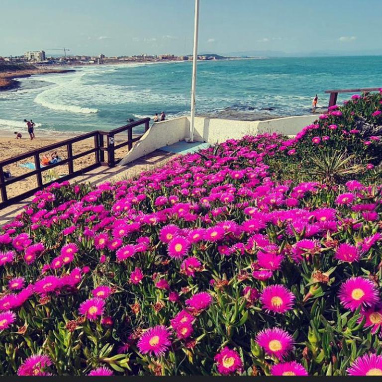 La Mata, Torrevieja - Apartamento con vistas al mar - 16