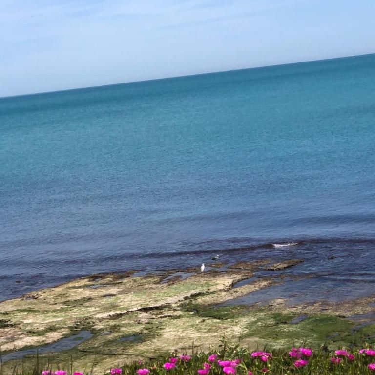 La Mata, Torrevieja - Apartamento con vistas al mar - 17