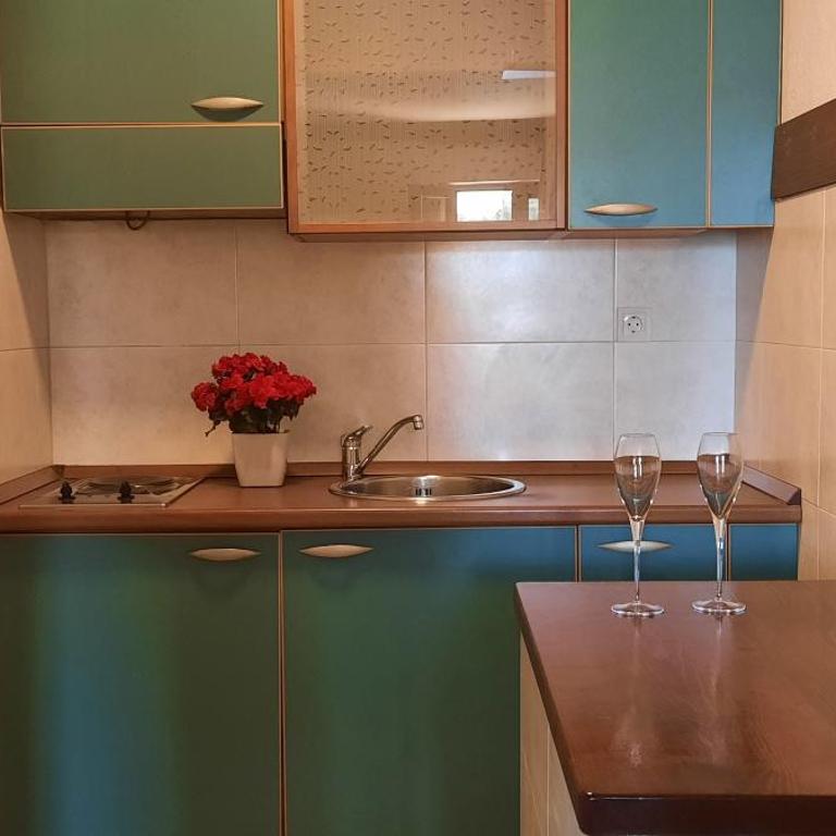 Ambassador Apartments - Apartman sa 1 Spavaćom Sobom - 5