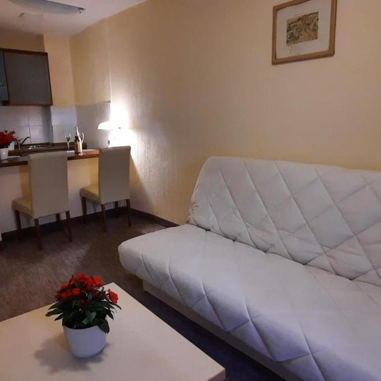 Ambassador Apartments - Apartman sa 2 Spavaće Sobe - 4