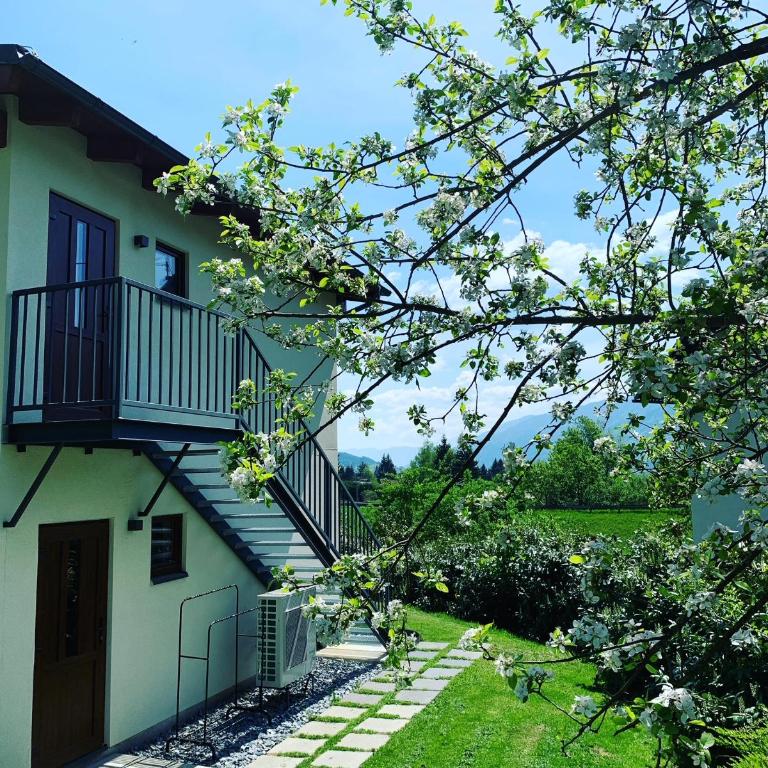 Pension & Apartments Waldkrieber - Apartment mit Terrasse - 2