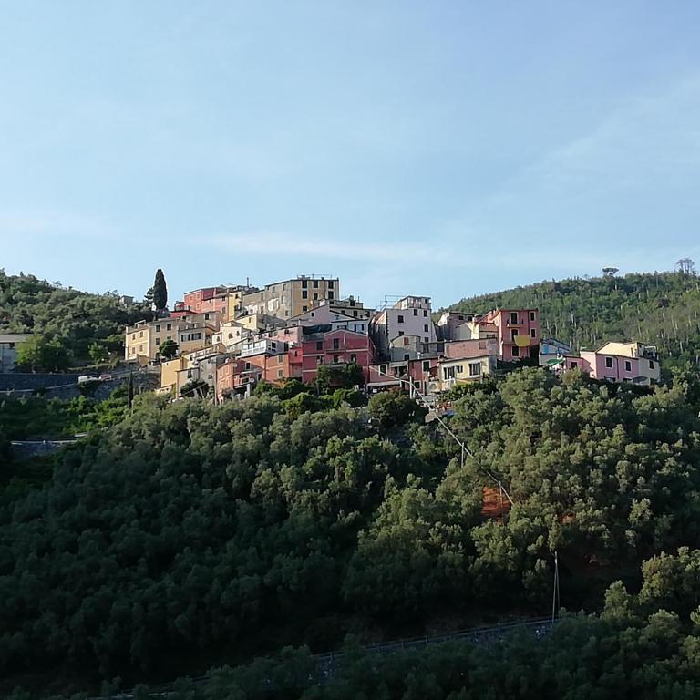 CASA LORENZO SULLE COLLINE DI LEVANTO e VICINO ALLE CINQUETERRE LT-0620 - Appartamento - 14