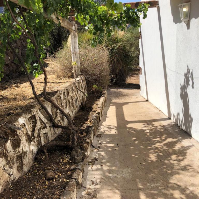 Casa-Finca El Maipéz de Tejeda - Casa con 1 dormitorio - 15