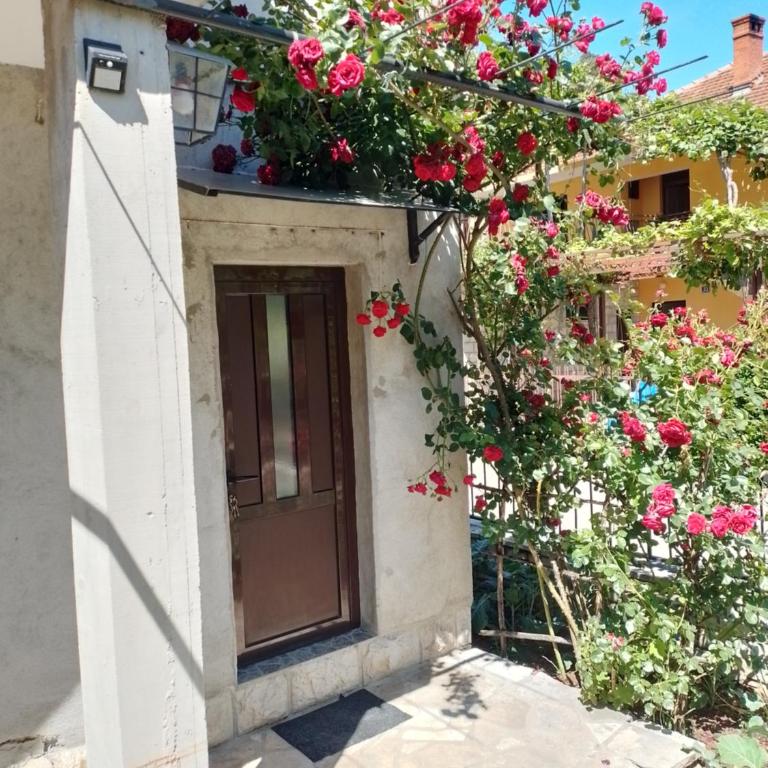 setenčić - Single Room with Private Bathroom - 1