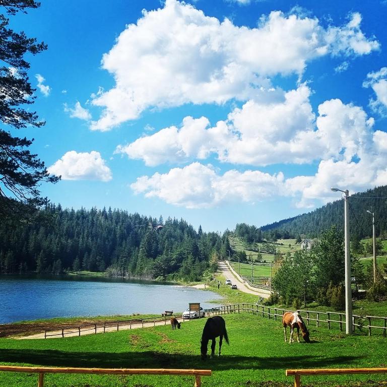 Apartmani JEZERO - Apartment with Lake View - 4