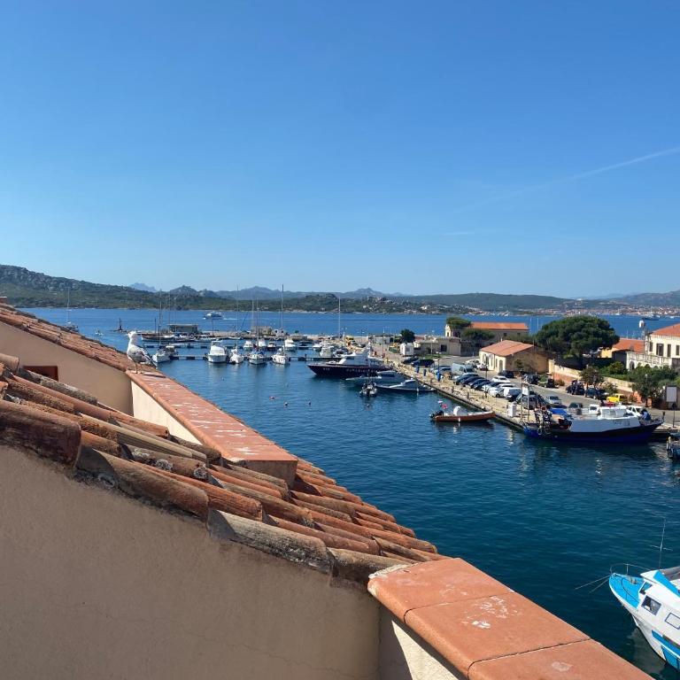 Penthouse Cala Gavetta - Appartamento - 1